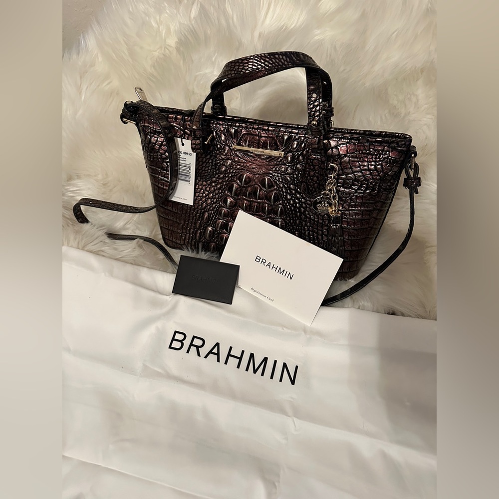 Brahmin mini asher ombre melbourne collection